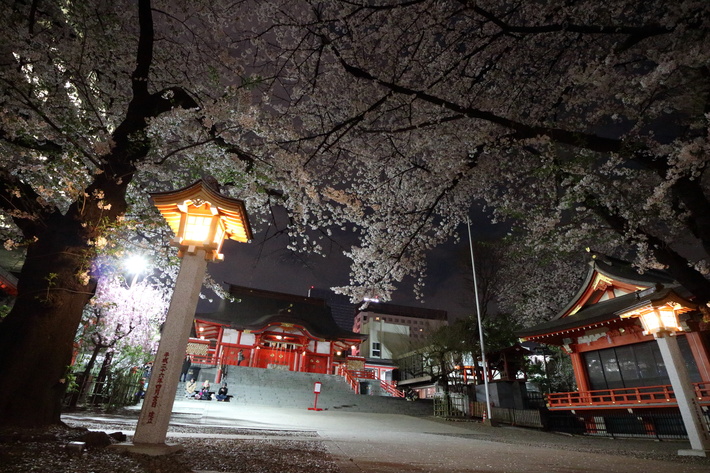 b0275998_23185770.jpg