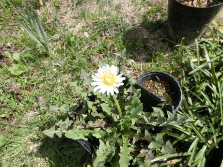 a0203003_1675413.jpg