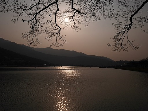 a0140305_1259566.jpg