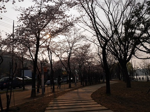 a0140305_1301660.jpg