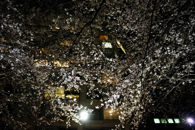 a0263109_10112921.jpg