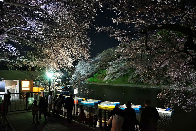 a0263109_10215798.jpg