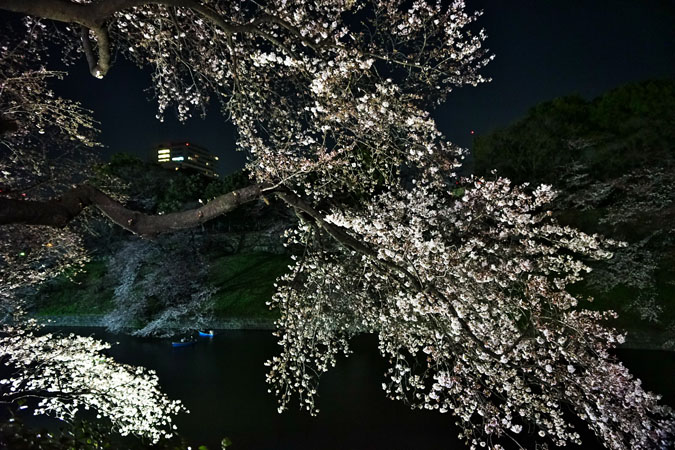 a0263109_1092670.jpg