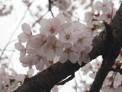 c0184211_1881576.jpg