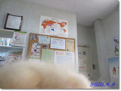 b0167519_16114476.gif