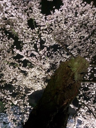 b0312126_20334002.jpg