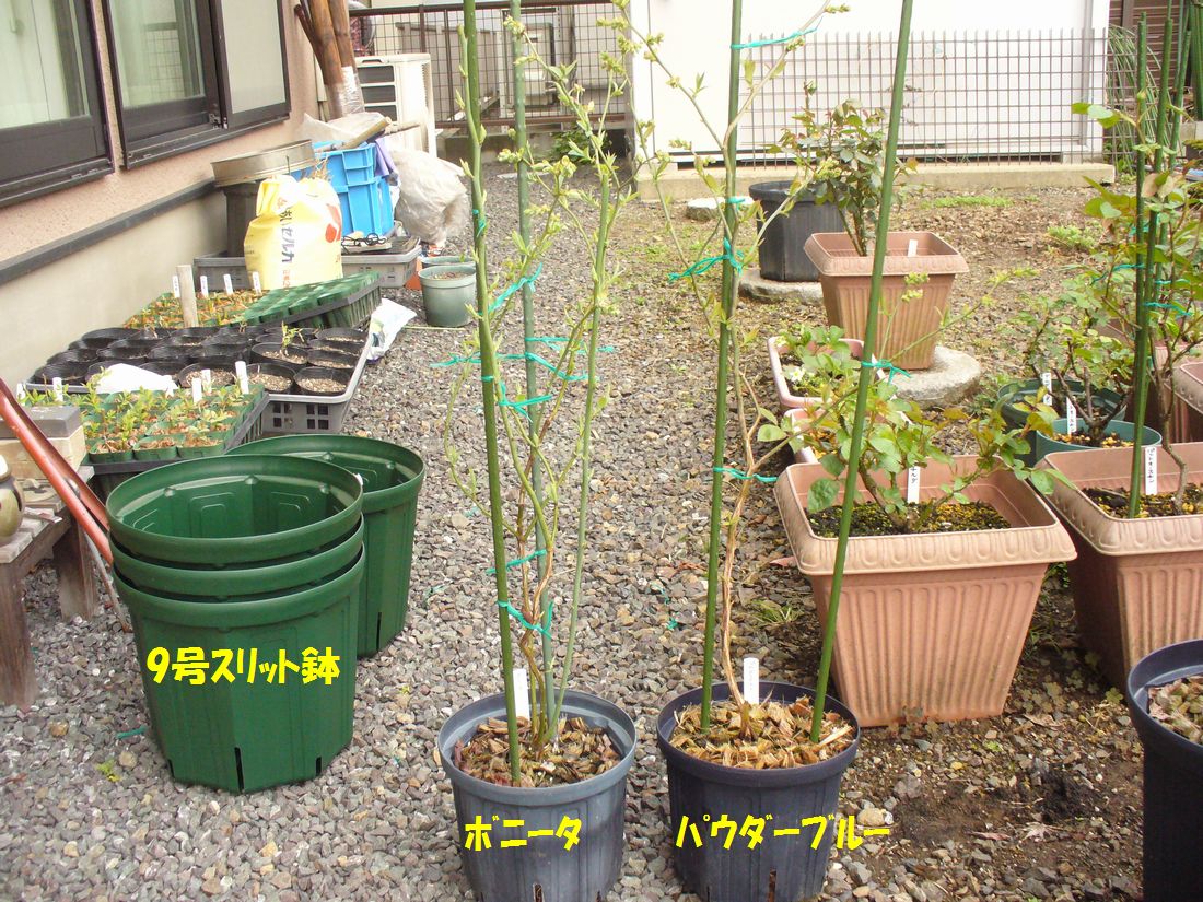 f0346527_2202066.jpg