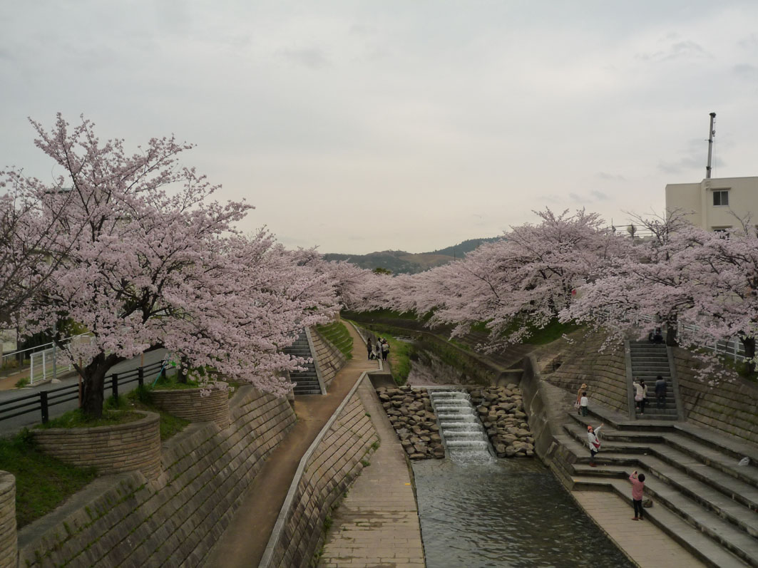 b0162732_19481027.jpg