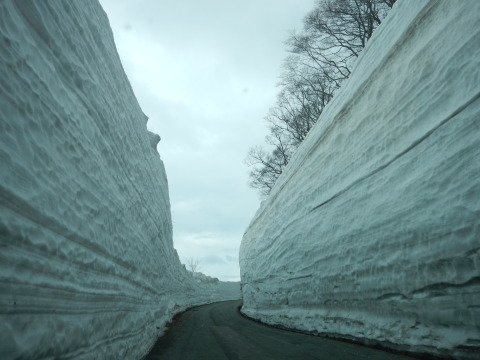f0118332_00181352.jpg