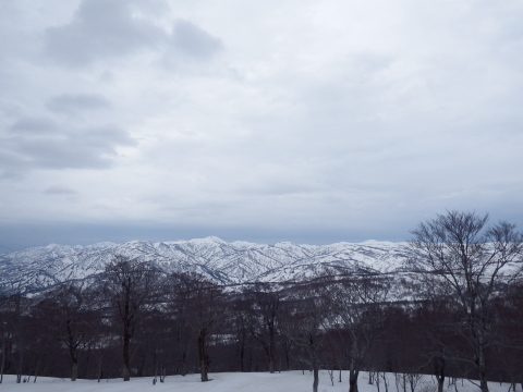 f0118332_00183960.jpg