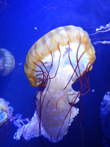 f0118332_00251257.jpg