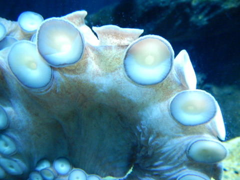 f0118332_00254295.jpg