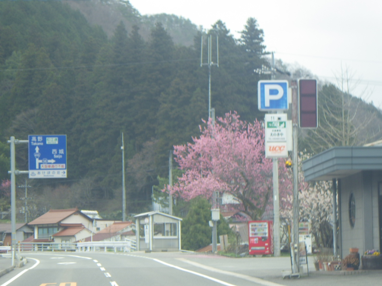 c0300035_1152850.jpg