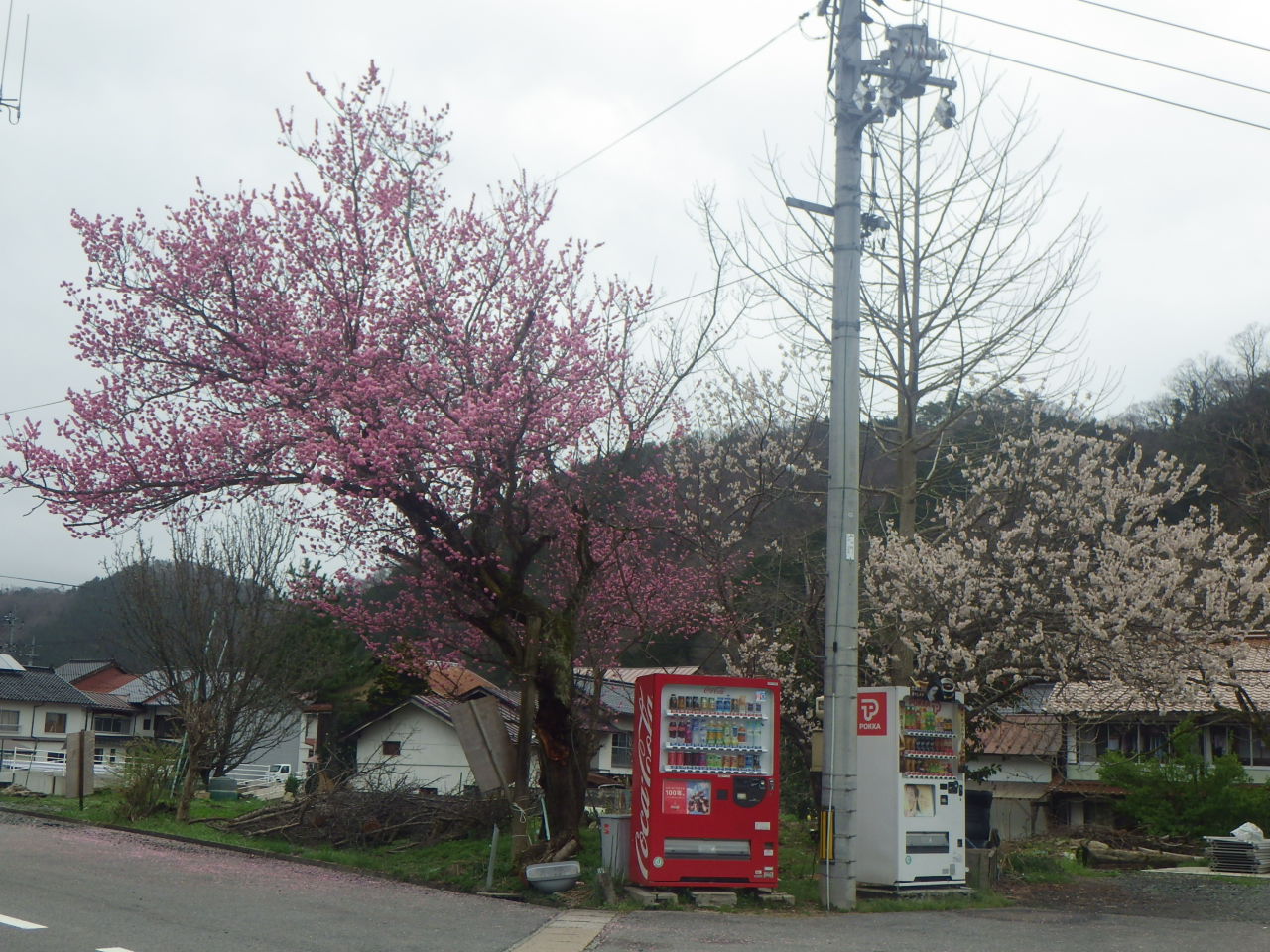 c0300035_1153860.jpg