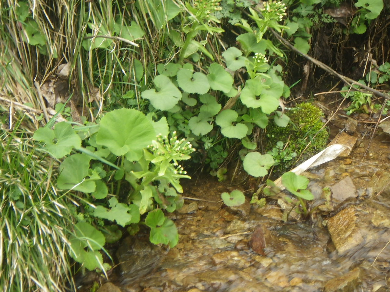 c0300035_119182.jpg