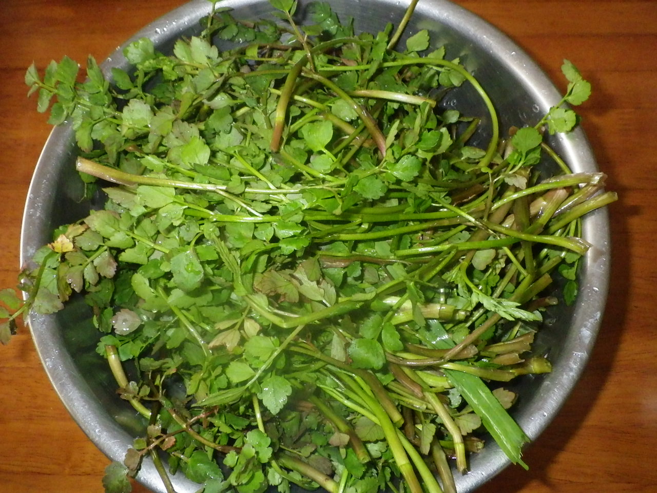 c0300035_16175665.jpg