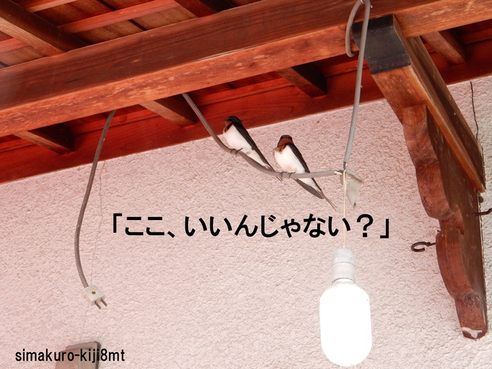f0247039_20125696.jpg