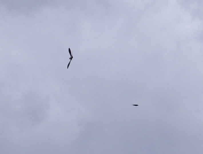 f0247039_207889.jpg