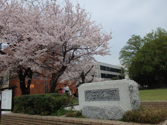 a0054240_2142121.jpg