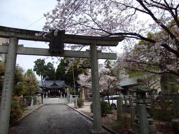 a0054240_216979.jpg