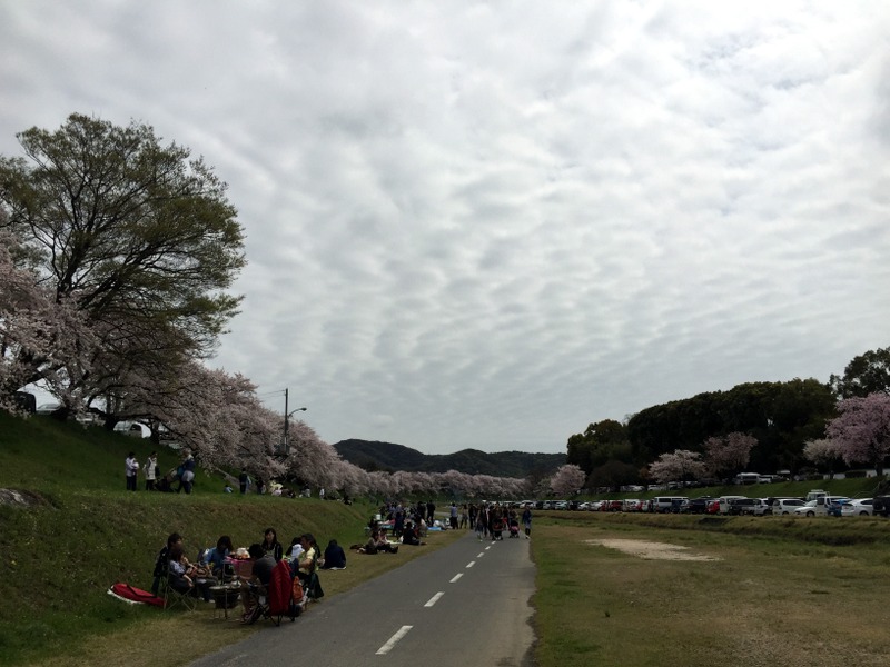 b0057140_16441369.jpg