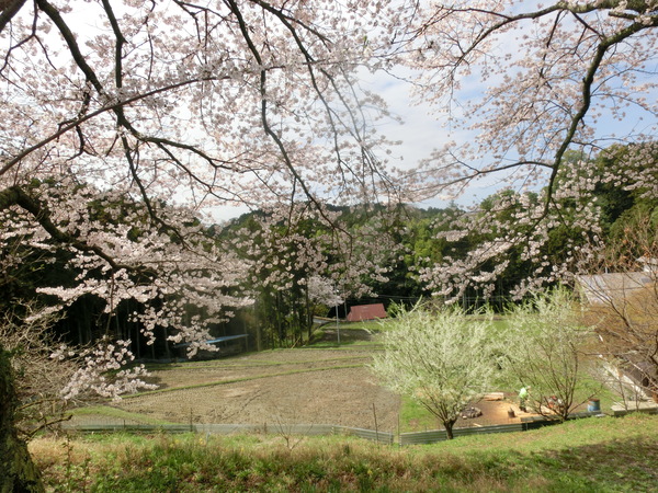 b0132746_23215668.jpg
