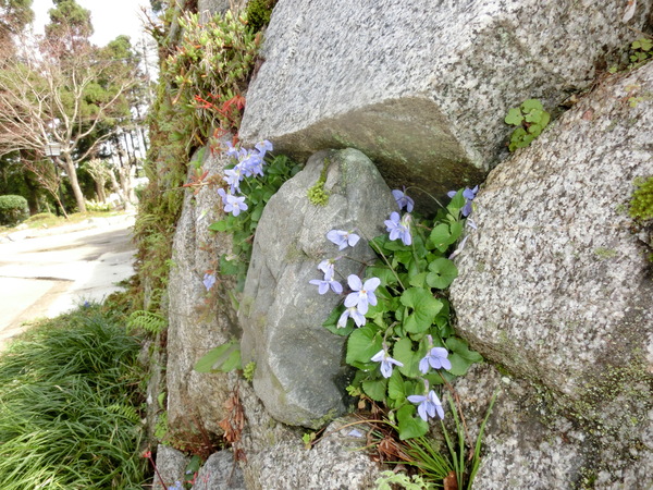 b0132746_23224450.jpg