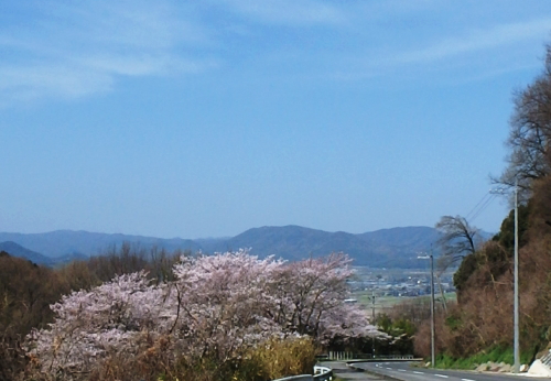 c0339546_2028340.jpg