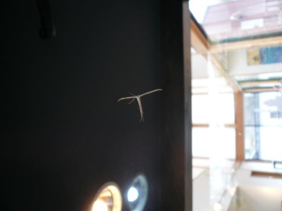 c0358850_10491373.jpg