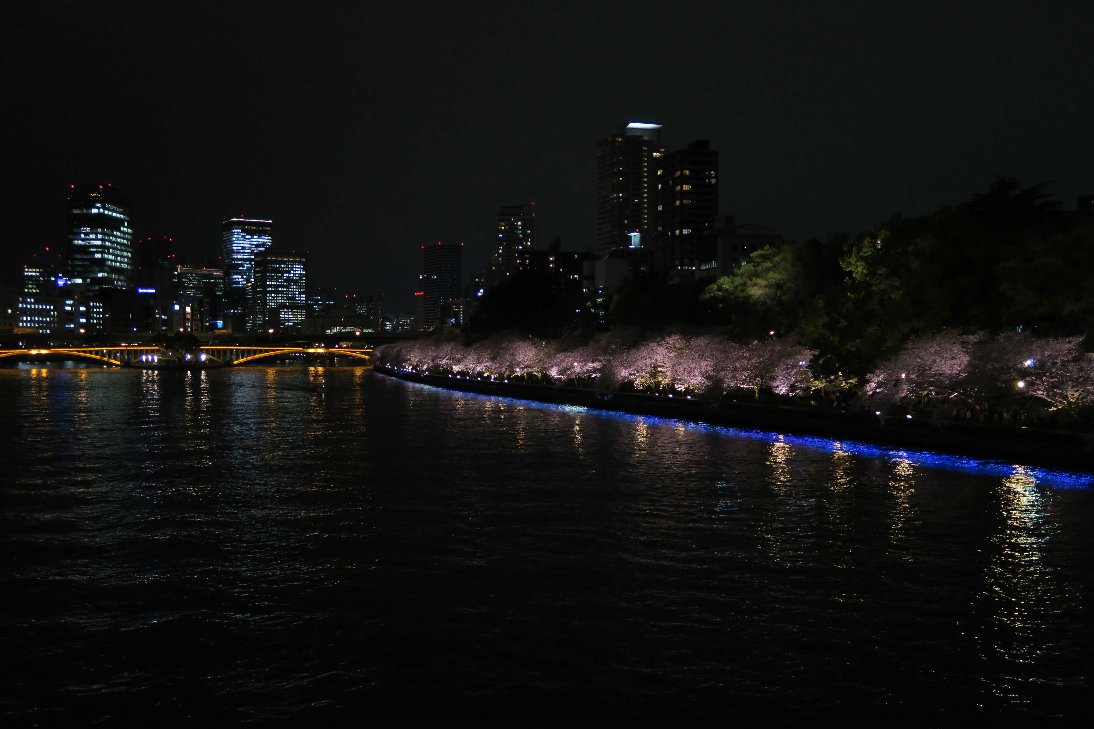 d0048750_9391671.jpg