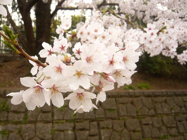c0223959_169588.jpg