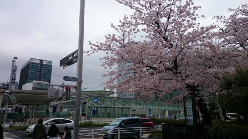 f0116159_8372352.jpg