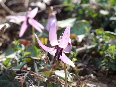 e0088260_09200629.jpg