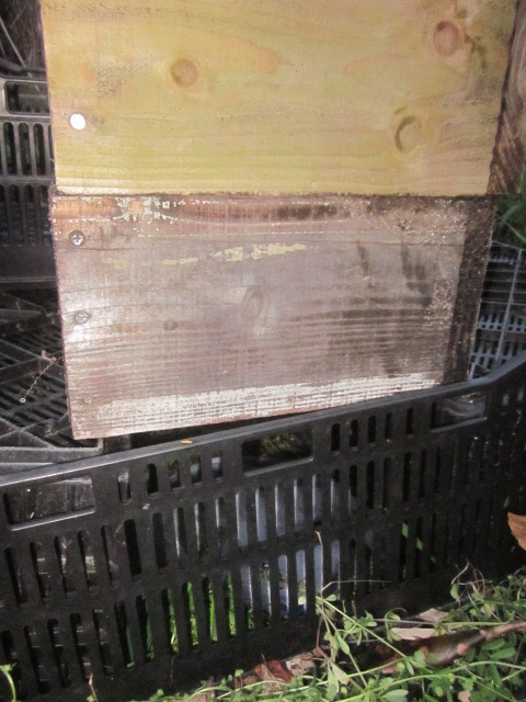 e0181260_2044851.jpg