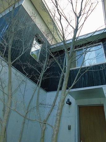e0002466_2001656.jpg