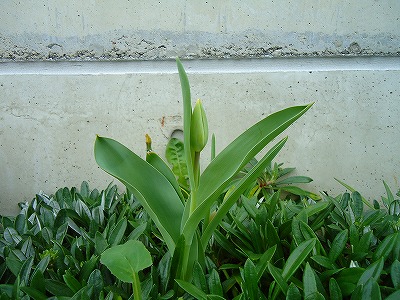 e0002466_2004159.jpg