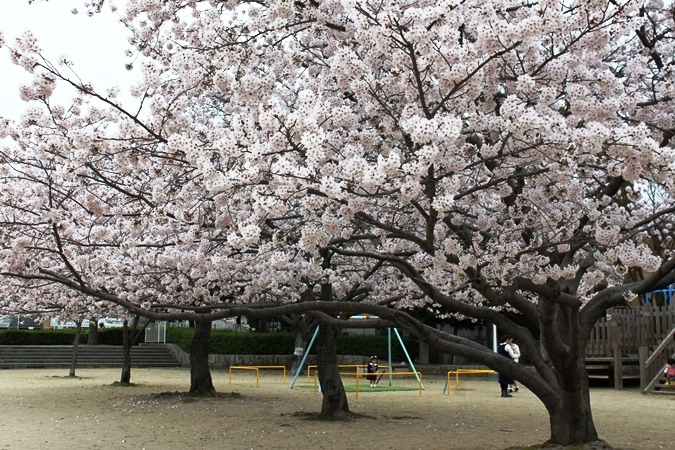 e0272870_16062416.jpg