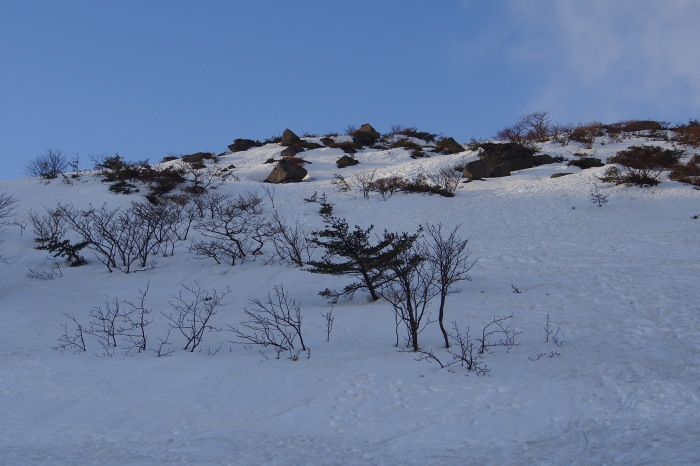 e0307372_16330489.jpg