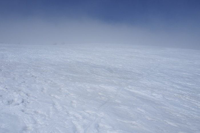 e0307372_17245535.jpg