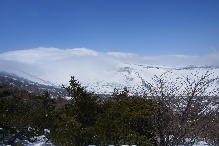 e0307372_17345952.jpg