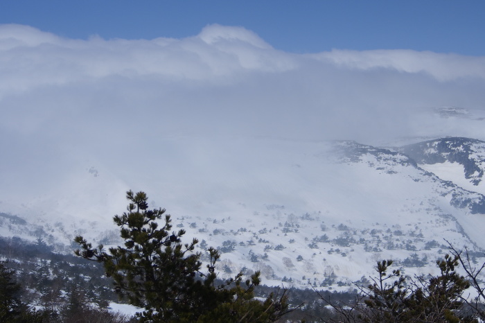 e0307372_17374618.jpg