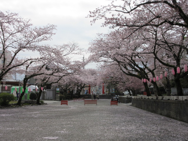 d0109373_23291992.jpg