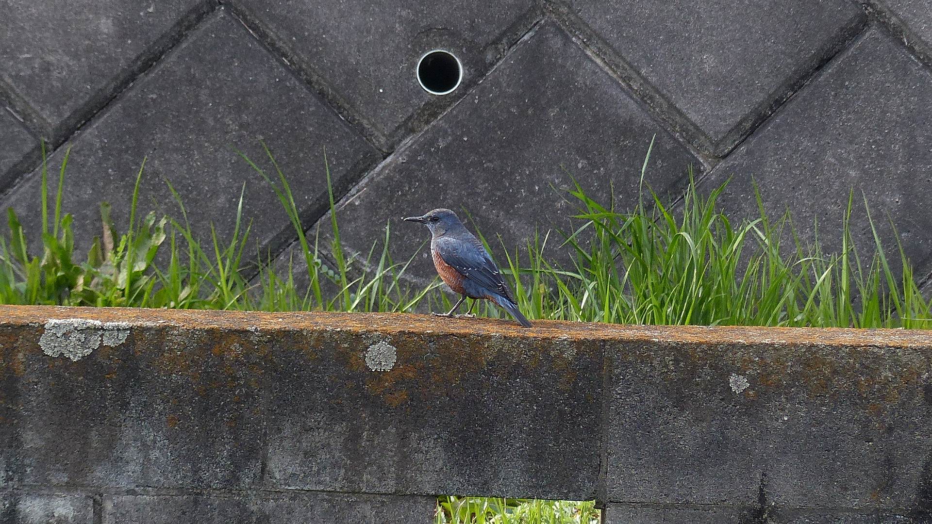 a0185081_19103814.jpg