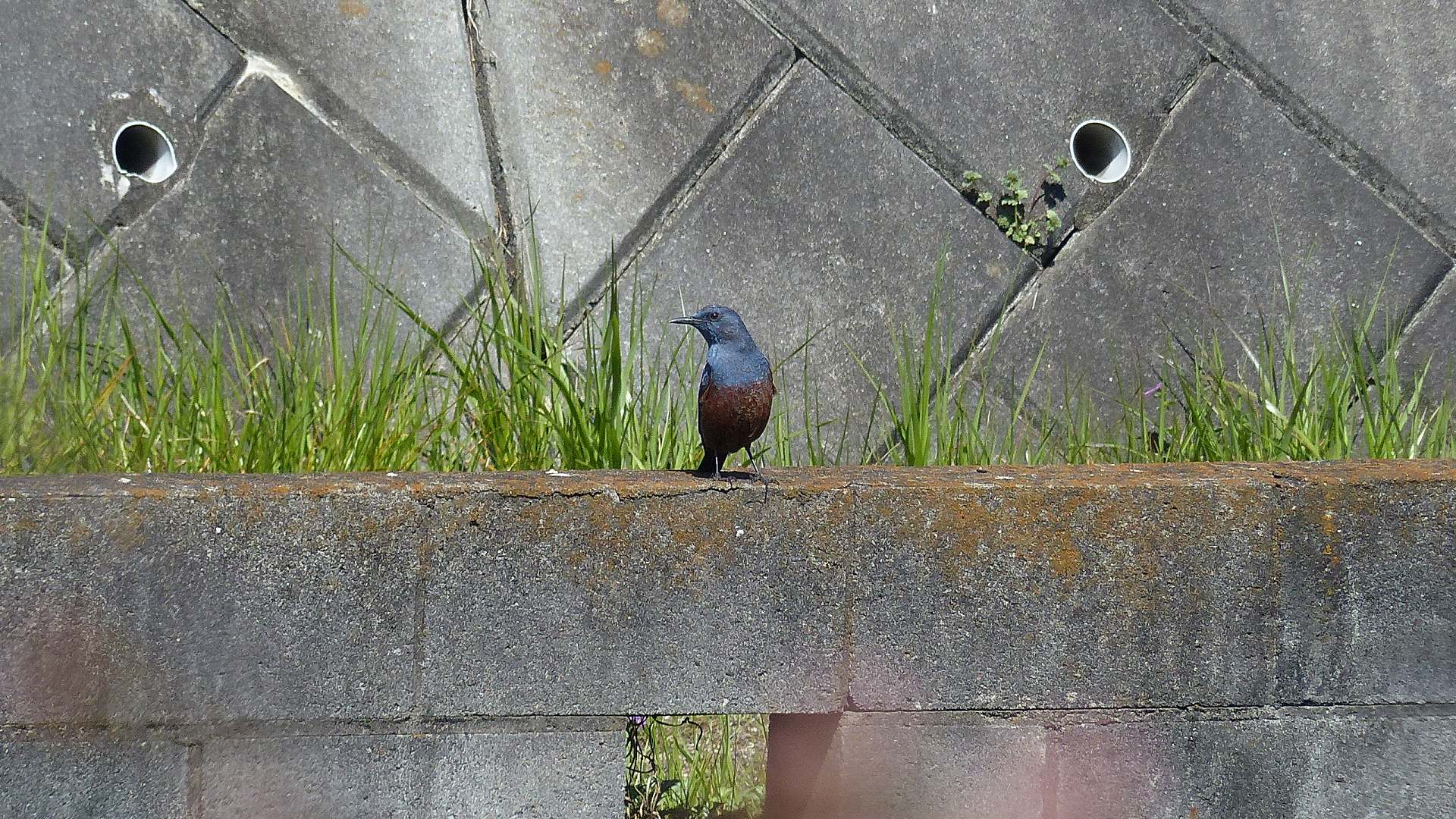 a0185081_1992777.jpg