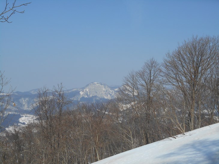 c0198781_1927375.jpg