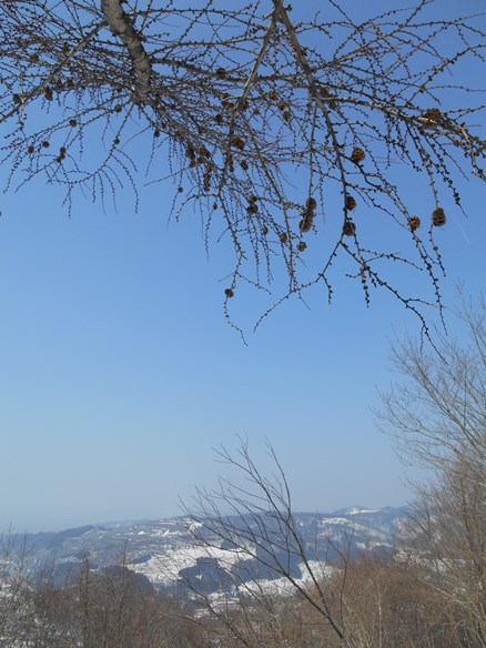 c0198781_19283687.jpg