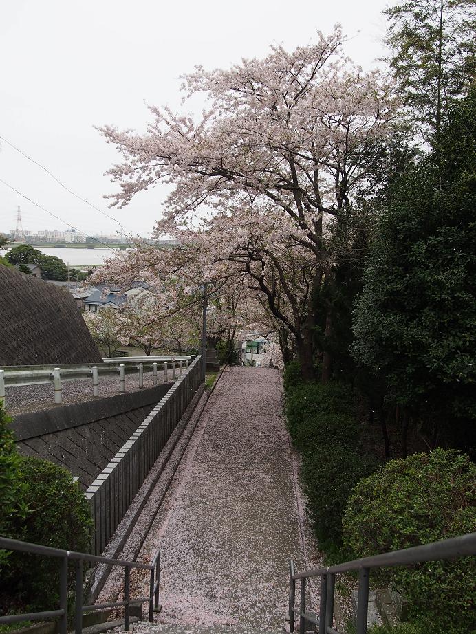 f0248782_1781698.jpg