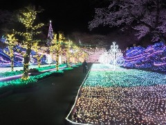 e0039787_11122867.jpg