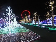 e0039787_11131350.jpg