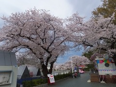 e0039787_1191266.jpg